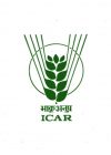 icar logo